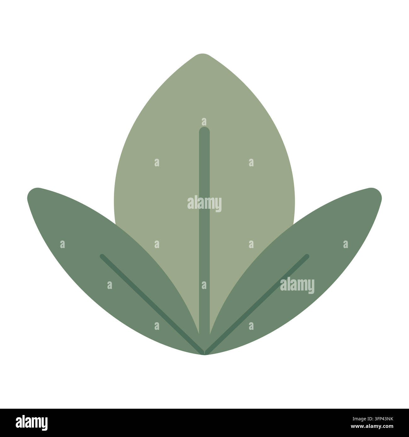 Foglia tropicale verde stilizzata con tre lame semplici. Illustrazione vettoriale piatta isolata Illustrazione Vettoriale