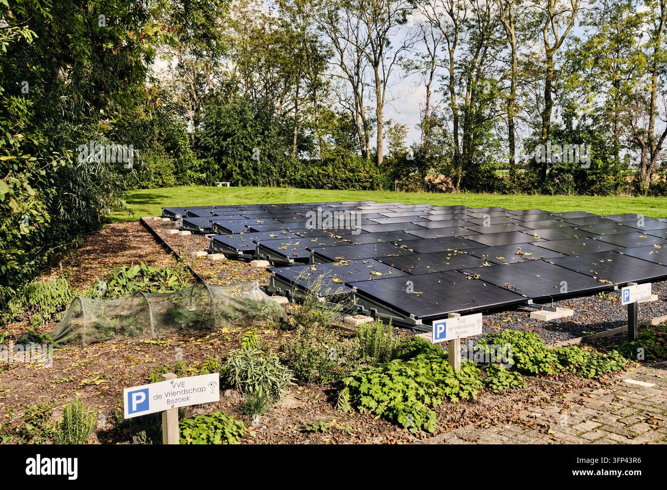 Wadway, Paesi Bassi – 3 ottobre 2026: Pannelli solari installati in un giardino verde, generazione di energia sostenibile ed elettricità rinnovabile Foto Stock