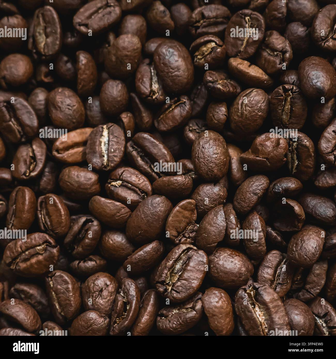 Chicchi di caffè tostati che riempiono la cornice, creando una consistenza marrone ricca. Concetti di energia, freschezza, colazione e cultura del caffè Foto Stock