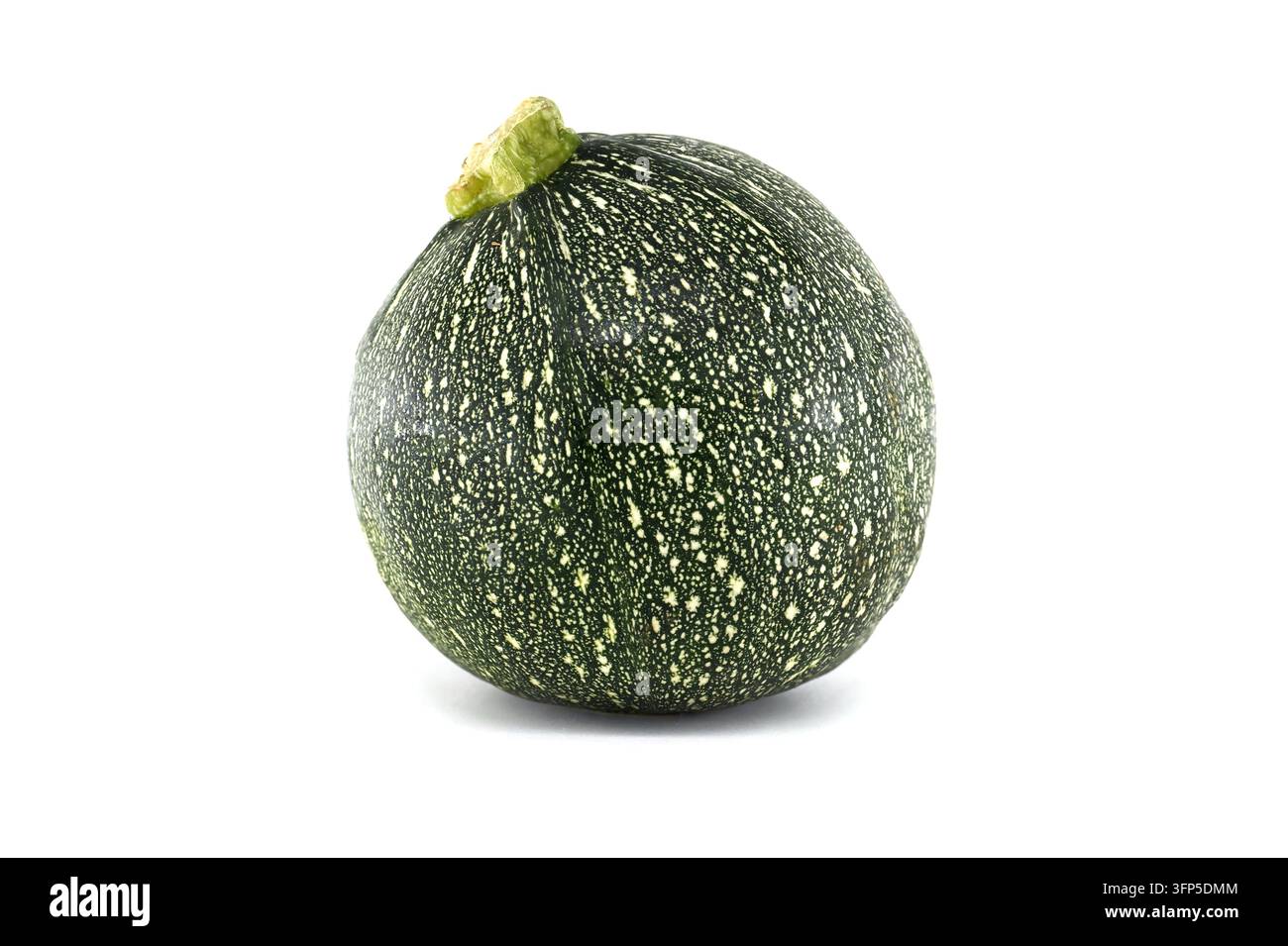 Zucchina rotonda fresca isolata su sfondo bianco, che mostra una buccia verde scuro screziata e un gambo corto ? ideale per cibo, giardinaggio, prodotti, r Foto Stock