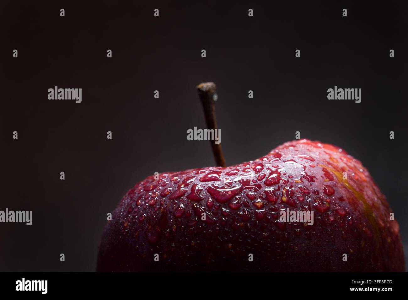 Fotografia macro in primo piano di una mela rossa fresca e matura ricoperta di goccioline d'acqua luccicanti e rugiada, con il suo gambo su uno sfondo scuro e suggestivo Foto Stock