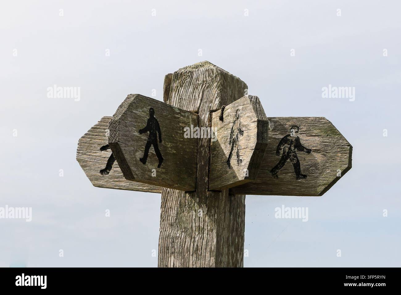 Un cartello in legno o indicatore su un sentiero pubblico, Pembrokeshire, Galles, Regno Unito Foto Stock