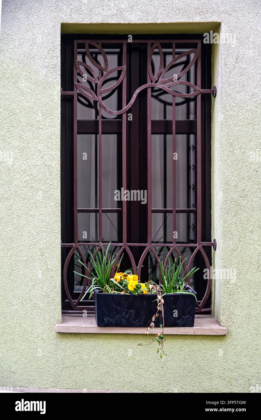 Una finestra è decorata con fioriere e sbarre metalliche su un muro verde alla luce del giorno Foto Stock