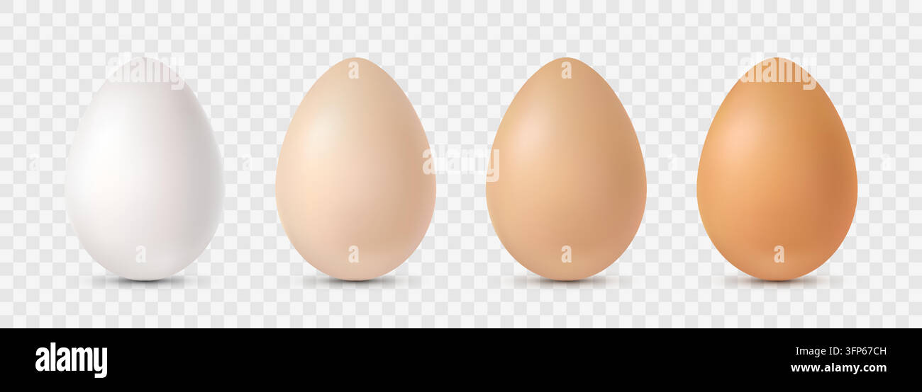 Set di quattro uova di gallina bianche, beige, marrone chiaro e marrone su uno sfondo trasparente. Illustrazione Vettoriale