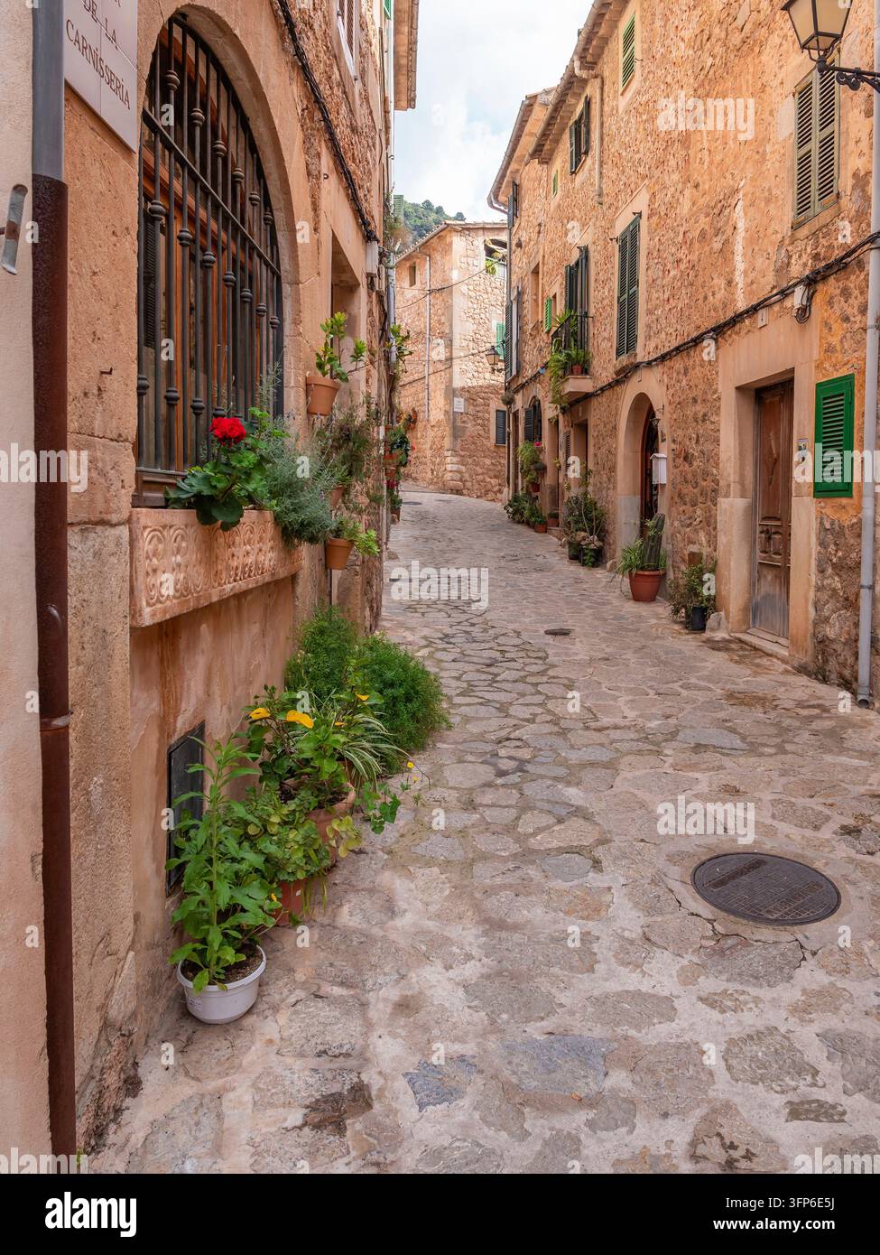 Valldemossa, Maiorca, una pittoresca e stretta strada acciottolata in una città storica fiancheggiata da edifici rustici, adornata con piante e fiori in vaso, exu Foto Stock