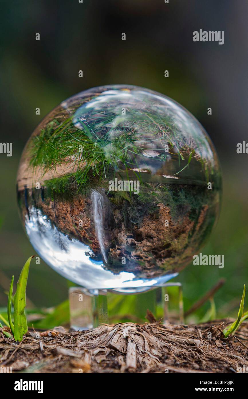 Uno scatto ravvicinato accattivante con una sfera fotografica di cristallo che poggia su un terreno naturale, possibilmente con trucioli di legno o pacciame, con un verde brillante Foto Stock