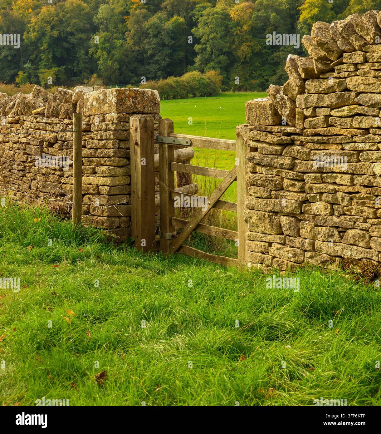 Muro di pietra dei Cotswold e cancello di legno rustico che conduce a un prato verde vibrante in una giornata di sole, simboleggiando la vita rurale e la tranquillità Foto Stock