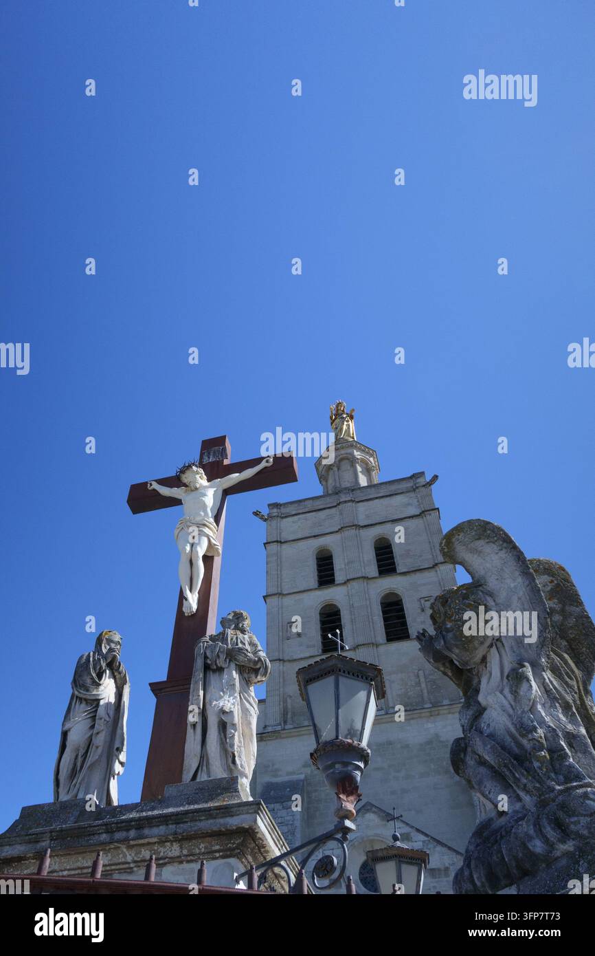Cattedrale di Notre-Dame, Avignon, Provenza, Francia Foto Stock