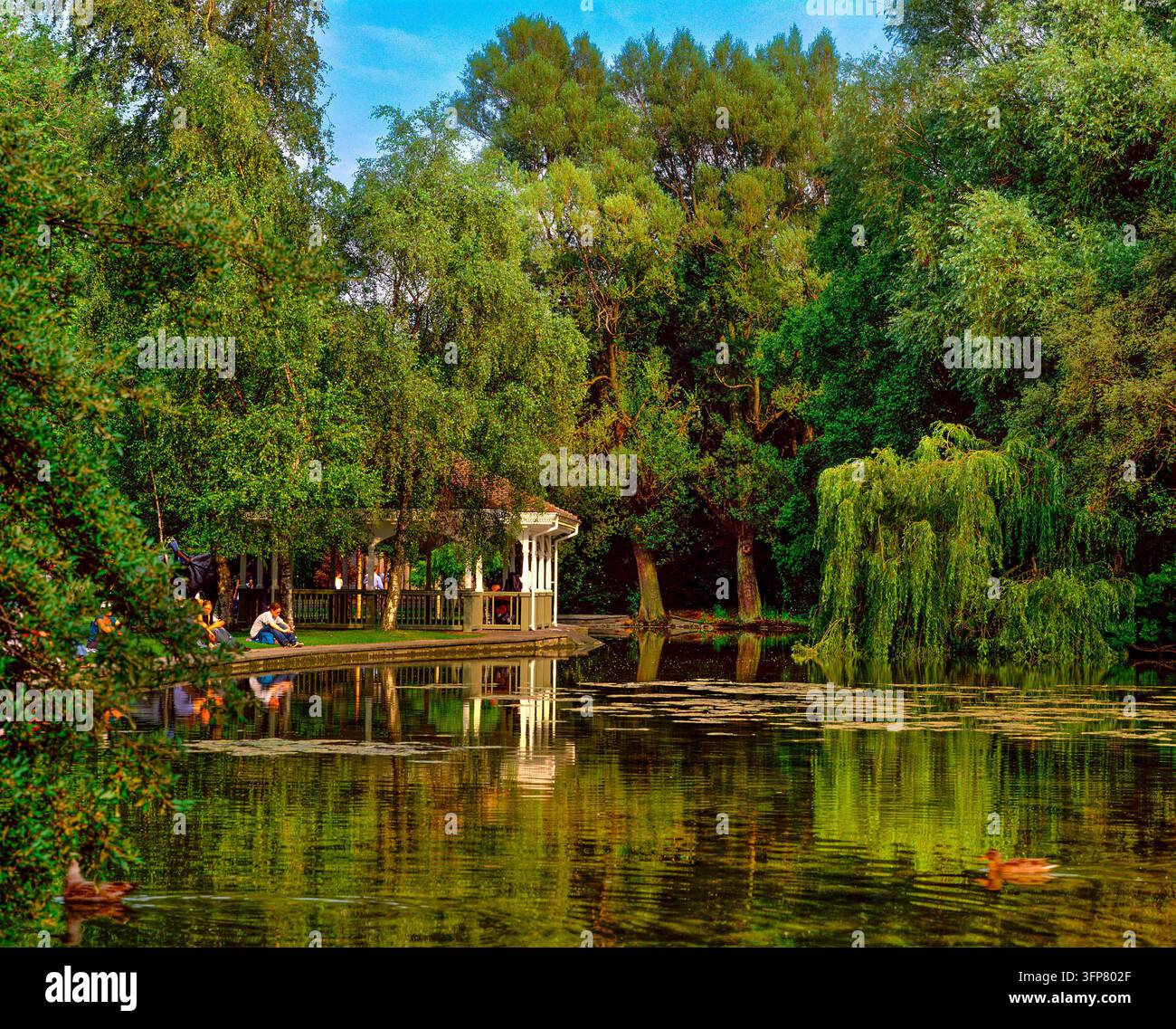 Scena tranquilla sul lago a St. Stephen's Green a Dublino Foto Stock