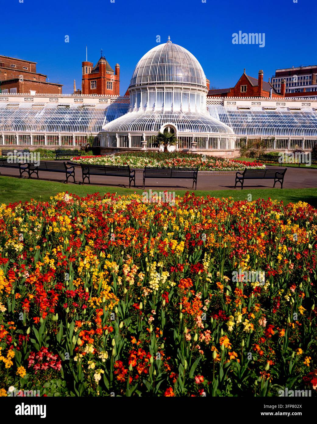 Serra del Giardino Botanico di Belfast, Irlanda del Nord Foto Stock