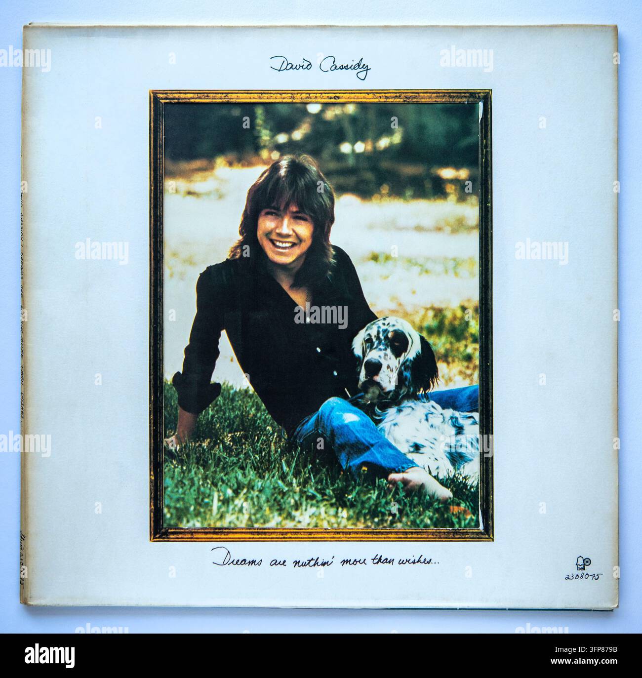 Copertina LP di "Dreams Are Nuthin' More Than Wishes", il terzo album solista di David Cassidy, pubblicato nel 1973 Foto Stock