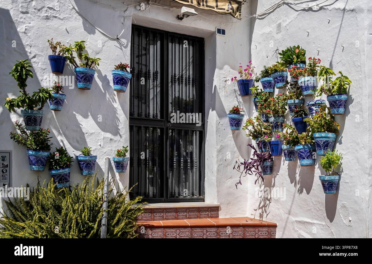 Gruppo di piante in vaso colorate in vasi blu montati su un muro bianco intorno all'ingresso di una casa tradizionale a Mijas Pueblo, Andalusia, Spagna, il 10 set Foto Stock