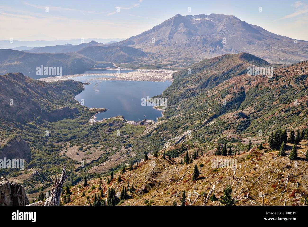 Monte Saint Helens e Spirit Lake, Mt Saint Helens, Nordovest Pacifico, Stato di Washington. Visto dal sentiero escursionistico Backcountry del Monte Margaret. Foto Stock