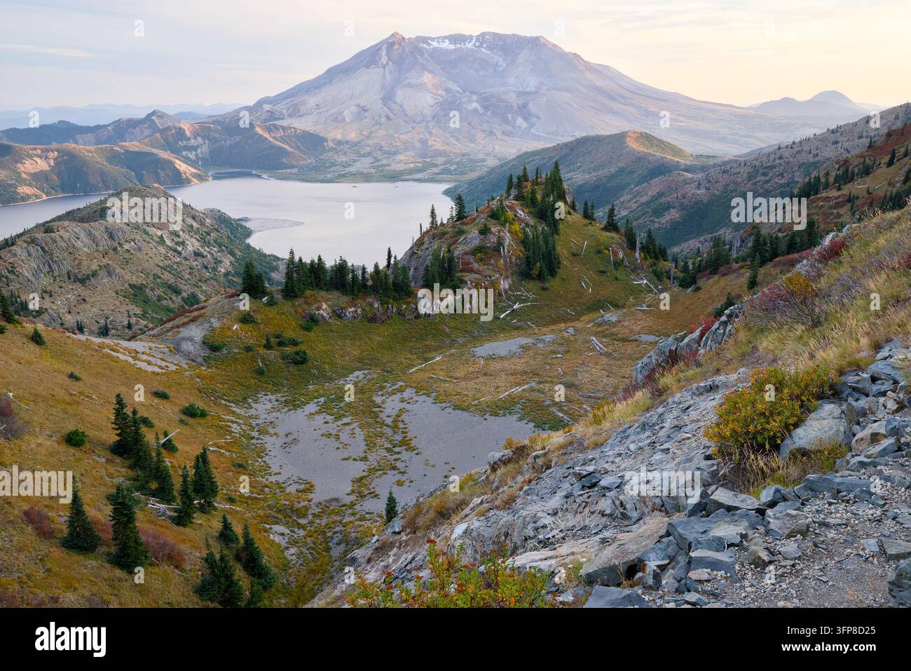 Monte Saint Helens e Spirit Lake, Mt Saint Helens, Nordovest Pacifico, Stato di Washington. Visto dal sentiero escursionistico Backcountry del Monte Margaret. Foto Stock