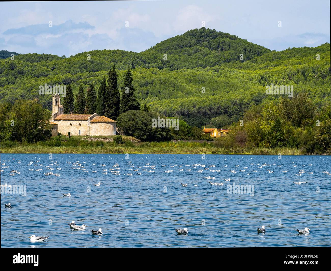 Il lago di Banyoles, Catalogna, Spagna Foto Stock