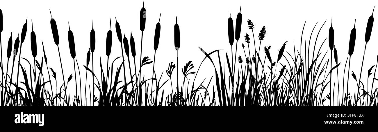 Silhouette di canna nera e dì giunchiglia con erba paludosa umida. Illustrazione Vettoriale