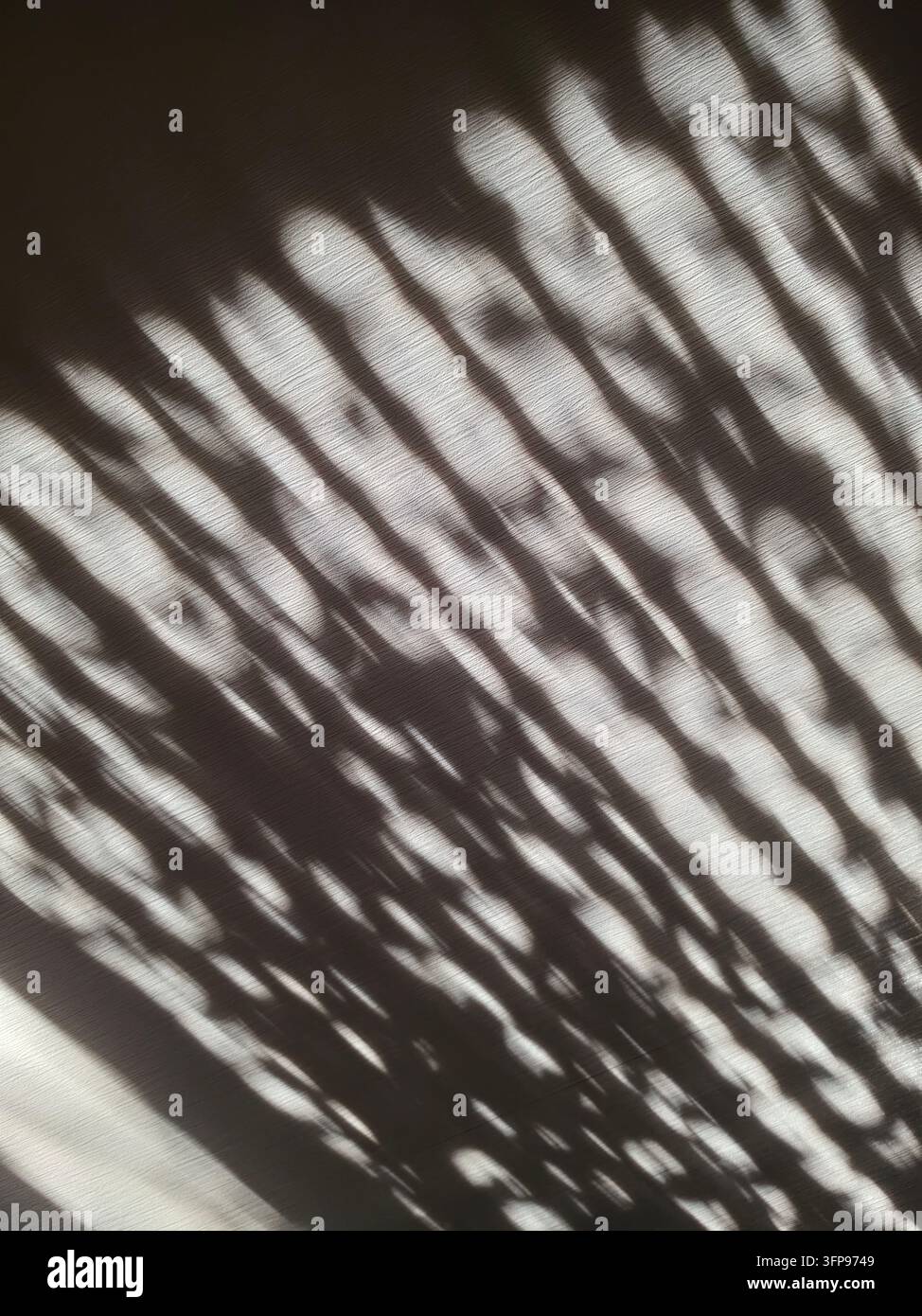 Gioco astratto di luce e ombra creato dalla luce del sole che filtra attraverso il fogliame e cade su una struttura superficiale ruvida - Immagine stock catturata con smartphone