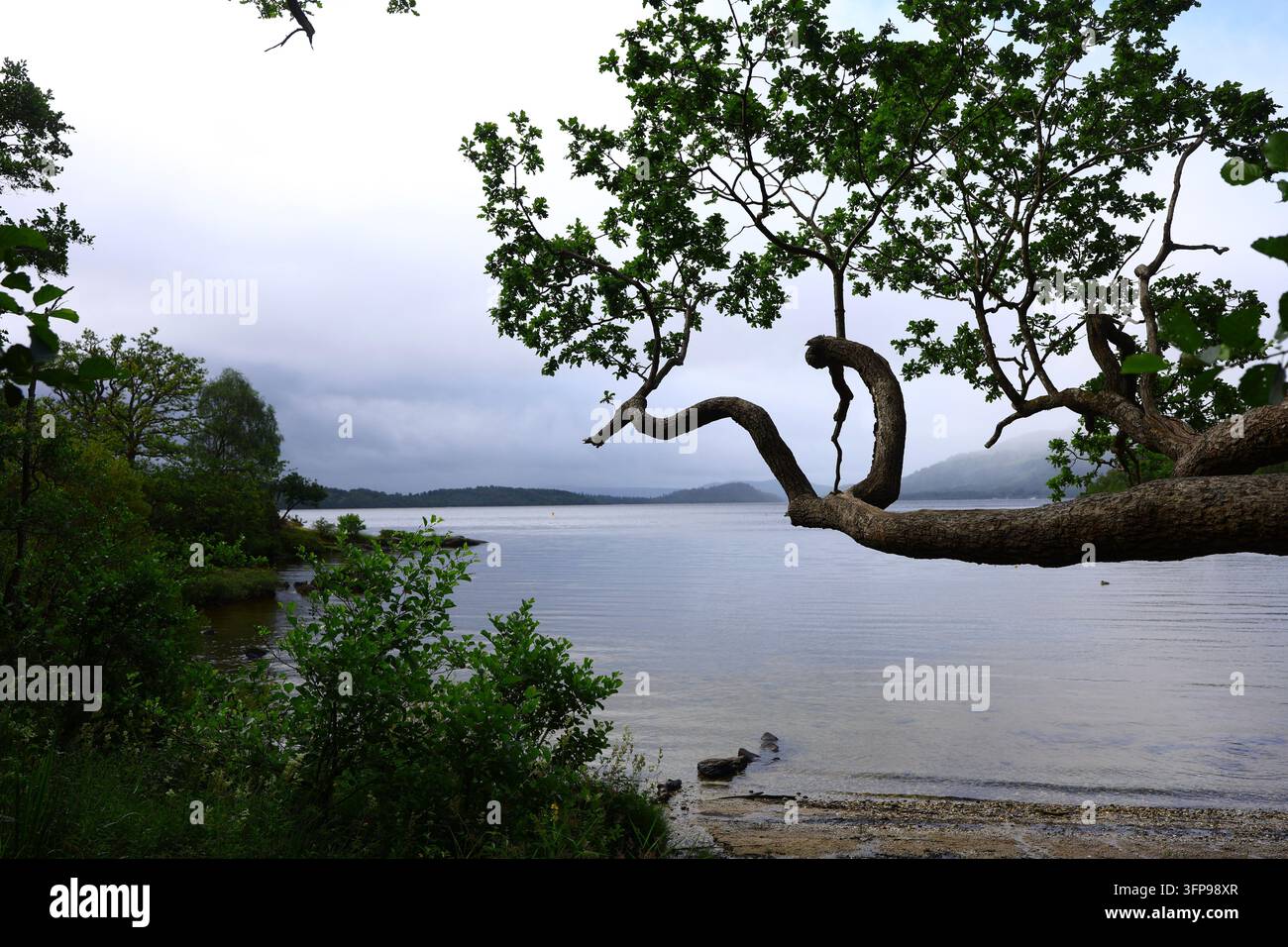 Vista tranquilla del Loch Lomond circondato dalle colline brumose della Scozia Foto Stock