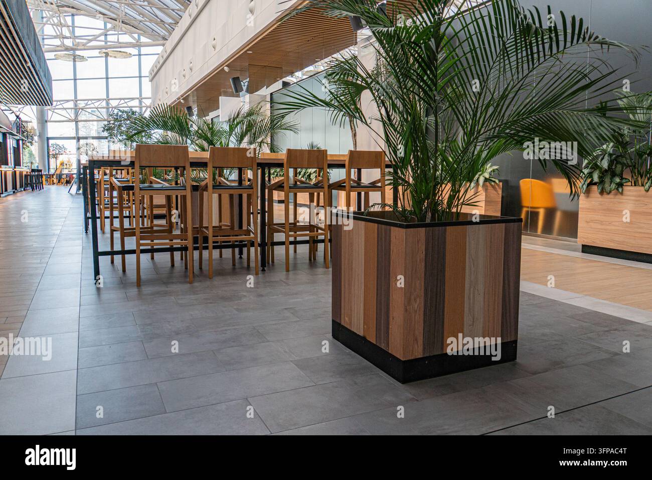Ambiente interno moderno e spazioso con grande vaso quadrato che ospita una pianta tropicale in vaso Palette di colori neutri grigio, marrone, bianco e ben organizzato Foto Stock