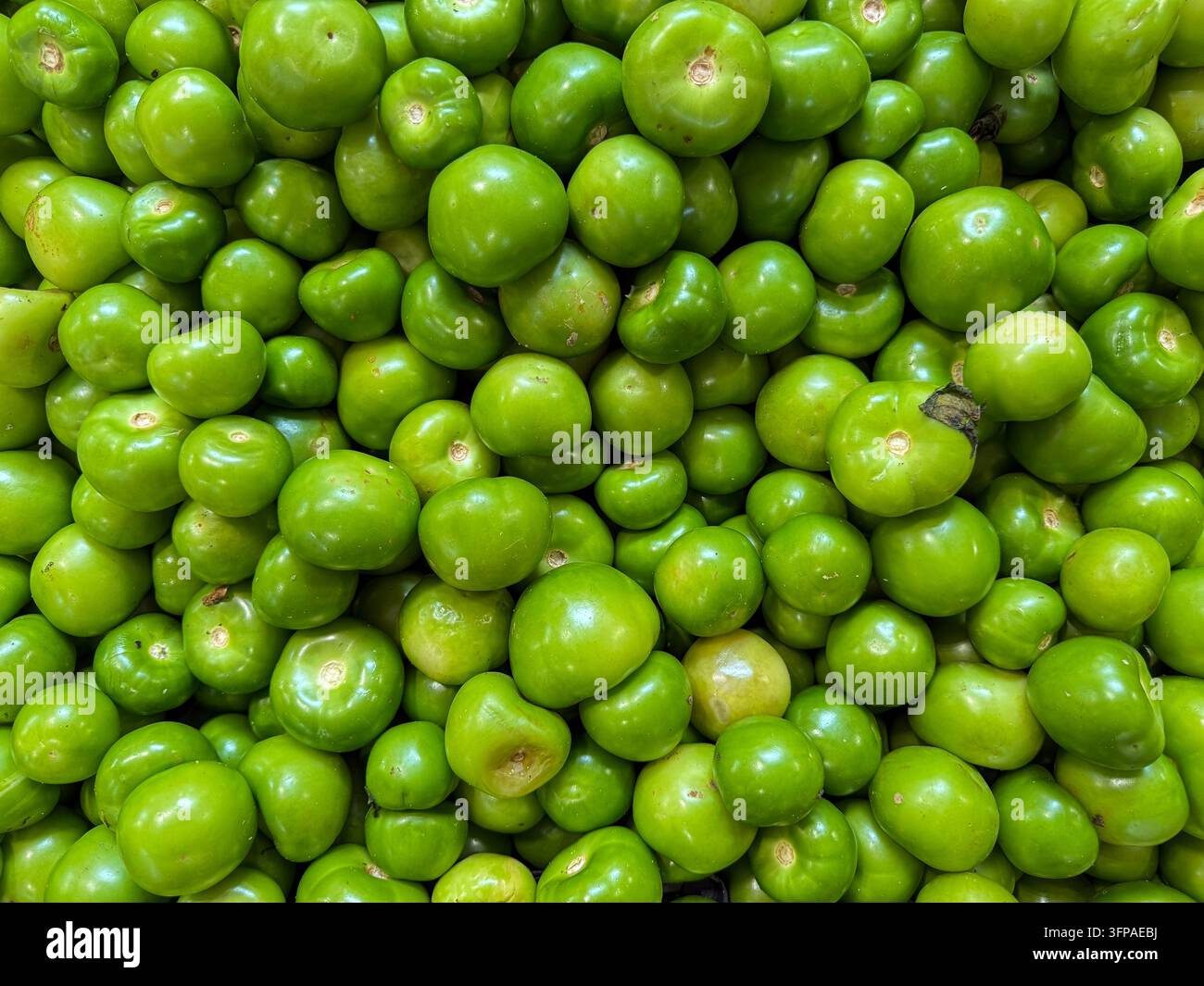 Cumulo di tomatillos verdi appena sbucciati al mercato messicano – Ingrediente alimentare tradizionale in secondo piano, primo piano Foto Stock