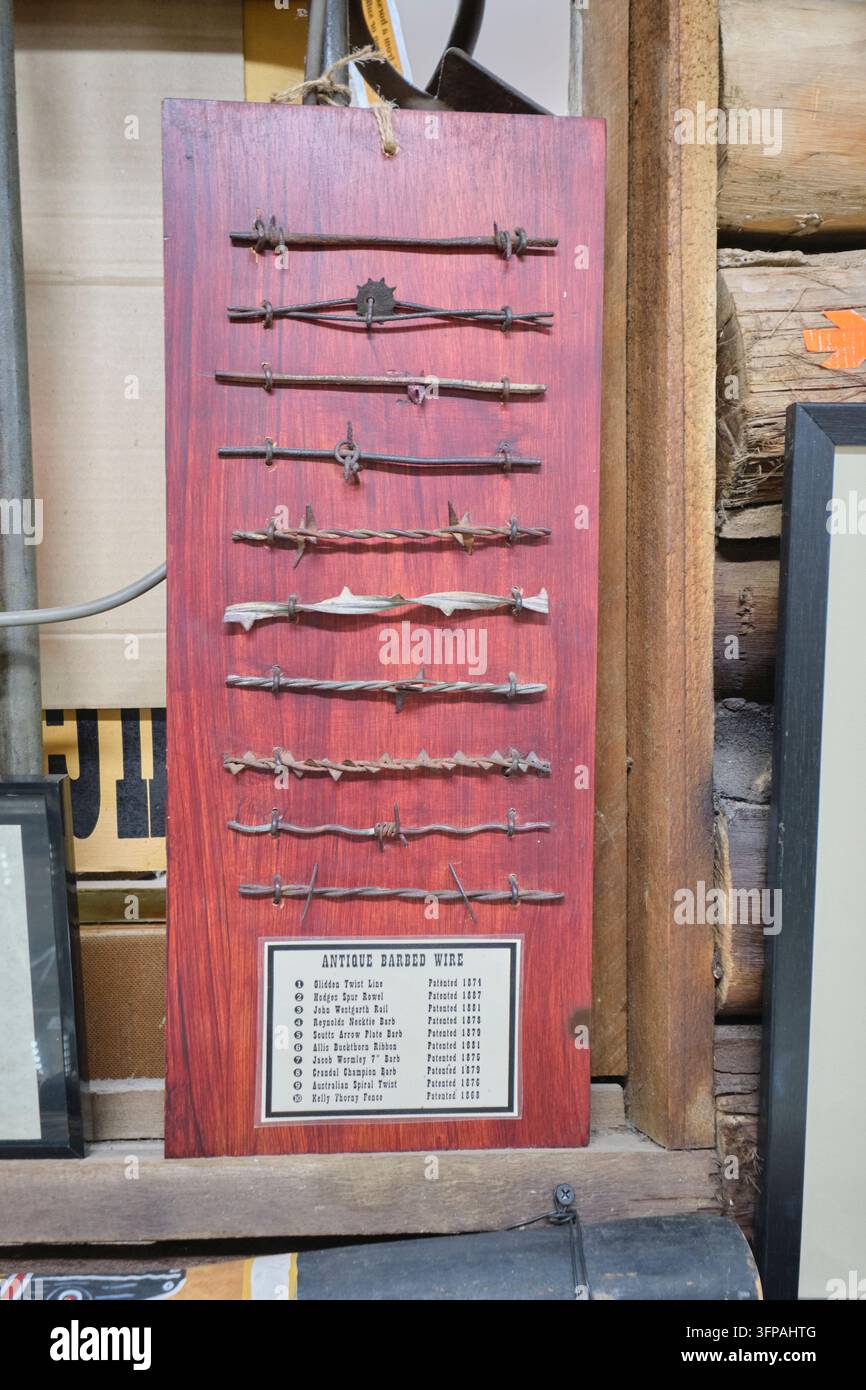 Esposizione di vecchi disegni di recinzioni di filo spinato, tra cui Glidden, Hodges, Reynolds, Scutts. Al Museo e alla Casa natale di Ned Kelly a Glenrowan, Australia. Foto Stock