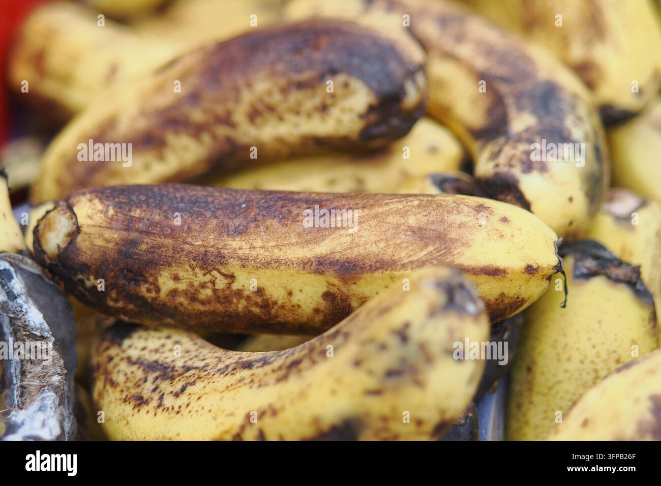 Banane ammucchiate in un mercato che mostra frutta matura e sovramatura Foto Stock