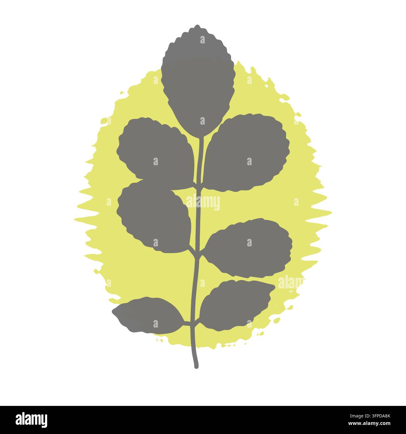 Illustrazione minimalista scandinava di un ramo botanico eco con foglie rotonde seghettate su ovale giallo texturizzato isolato su sfondo bianco Foto Stock