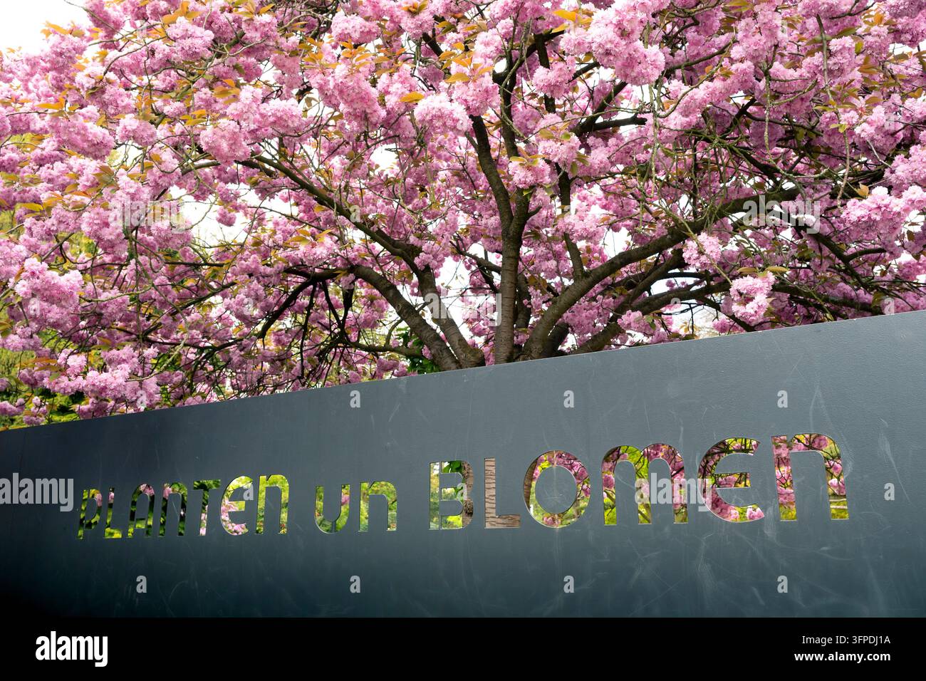 Scrittura all'ingresso del parco Planten un Blomen e del giardino botanico di Amburgo in primavera, Germania settentrionale Foto Stock