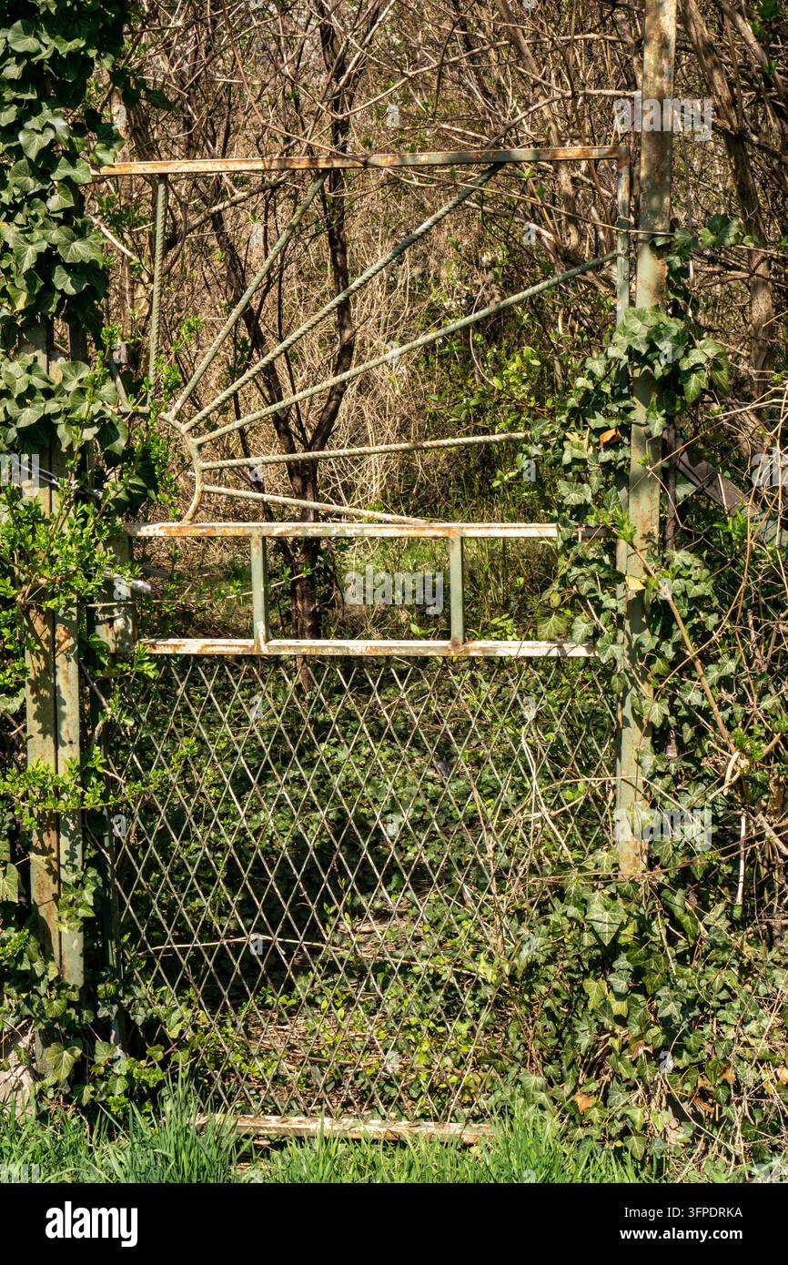 Vecchio cancello da giardino che conduce a un giardino incolto Foto Stock