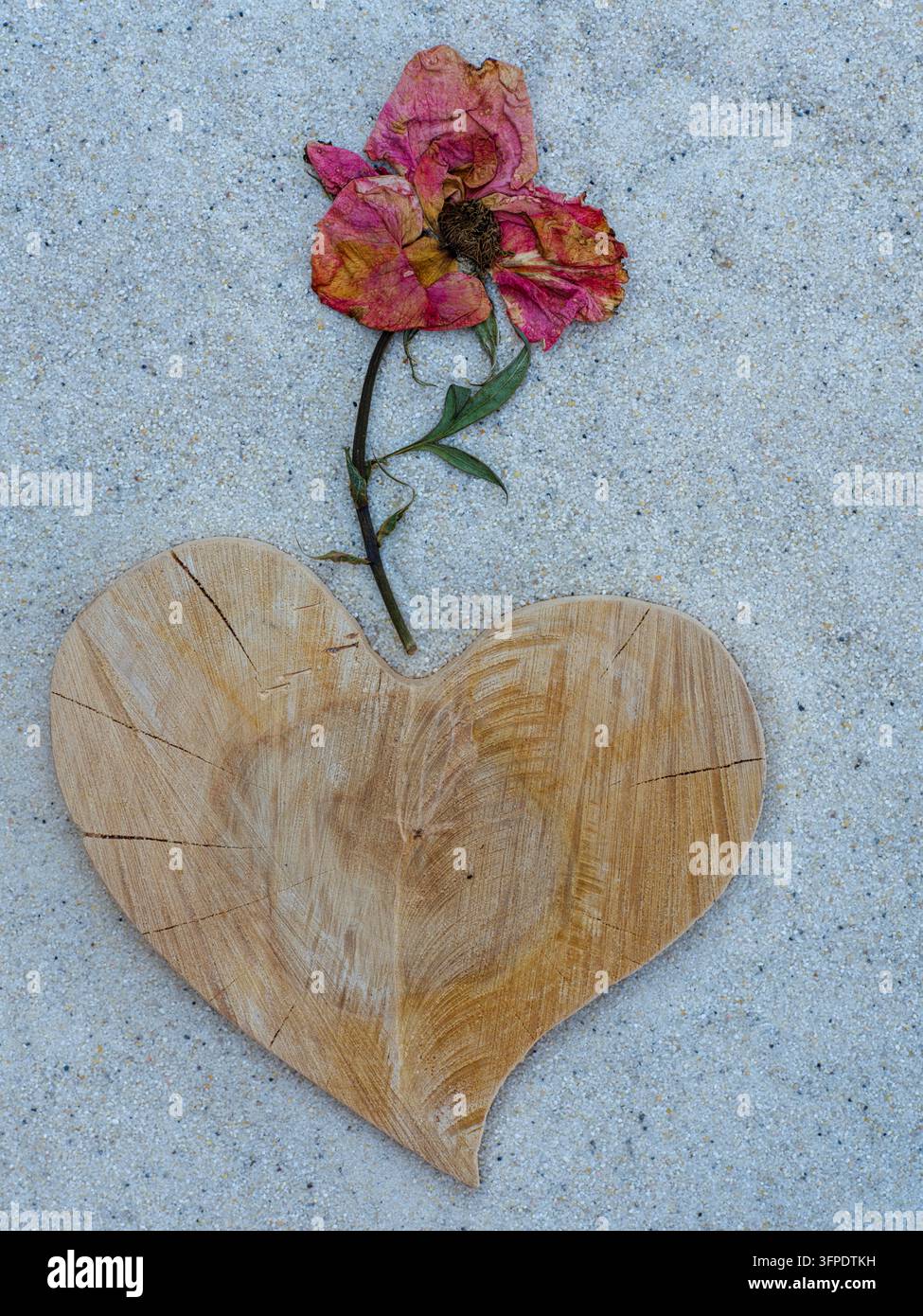 Rosa appassita, natura morta floreale, ornamento in legno a forma di cuore Foto Stock