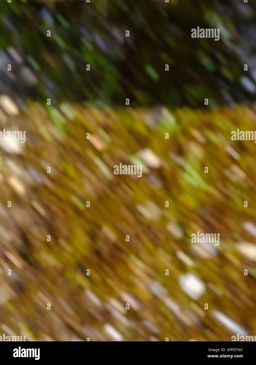 astratto, sfondo sfocato Foto Stock