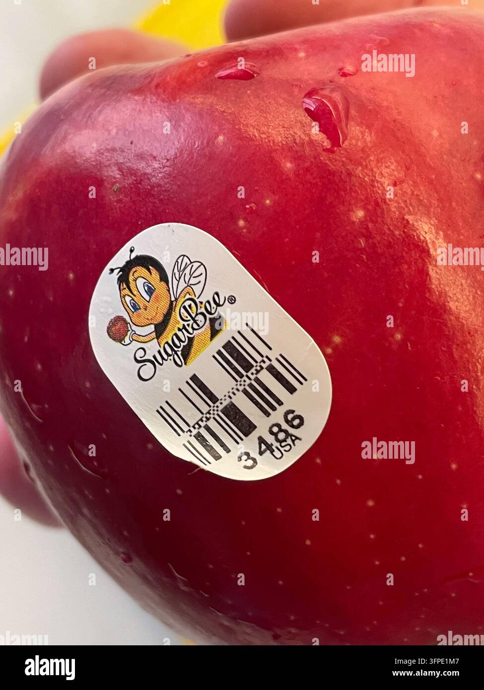 Primo piano della mela rossa matura Sugar Bee, 2026, USA - Immagine stock catturata con smartphone