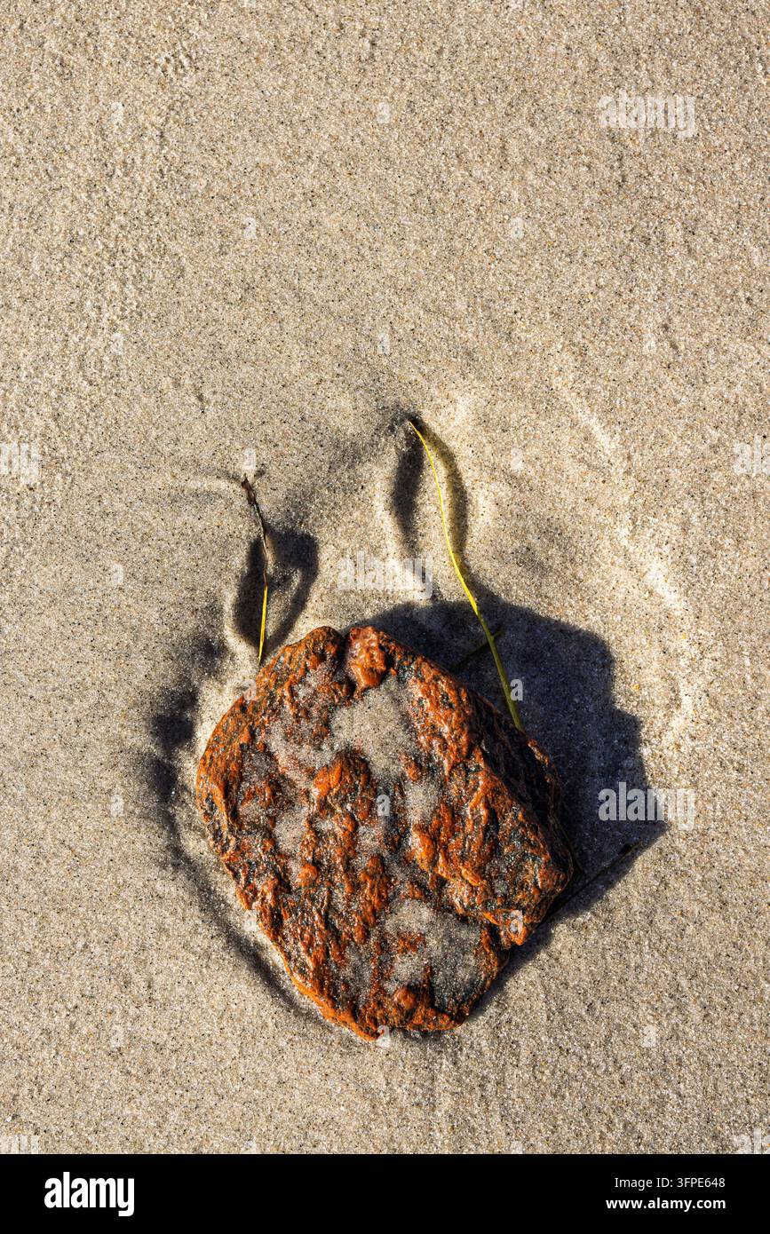 Pietre sulla spiaggia, immagine di sfondo, natura morta Foto Stock