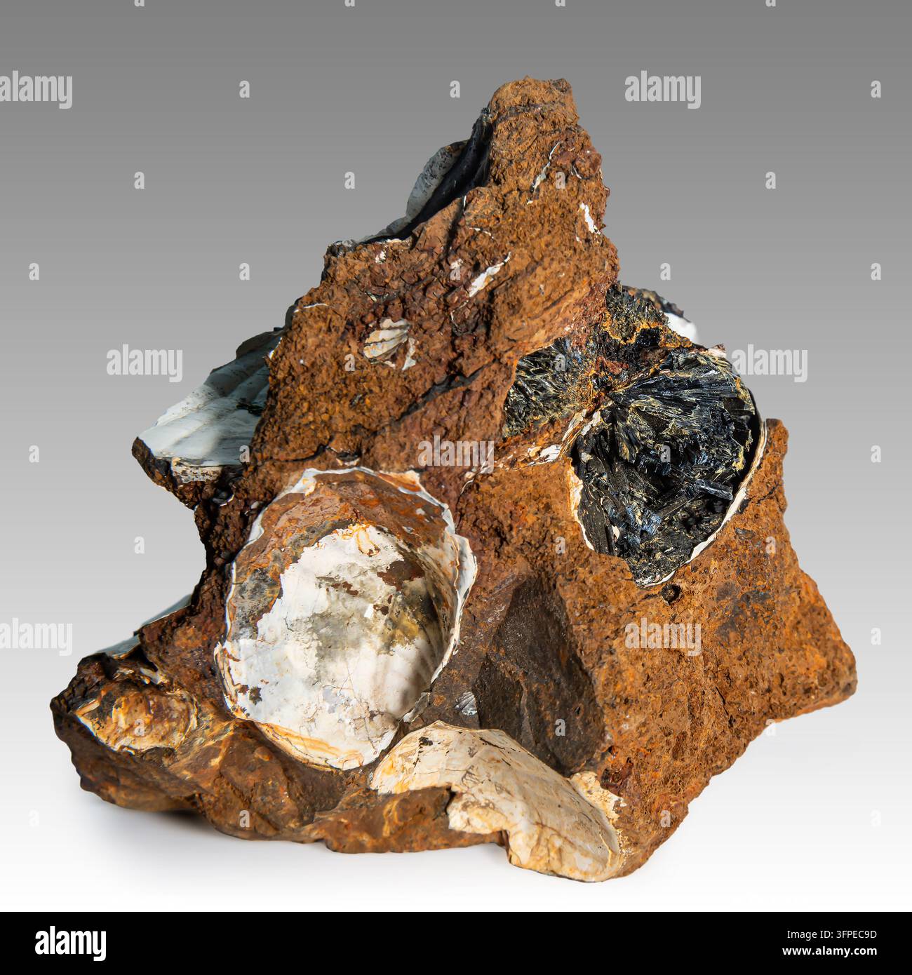 Il campione minerale mostra vivianite e kercinite disposte su una superficie. Questa scoperta fa parte di una collezione geologica proveniente da un sito minerario. Foto Stock