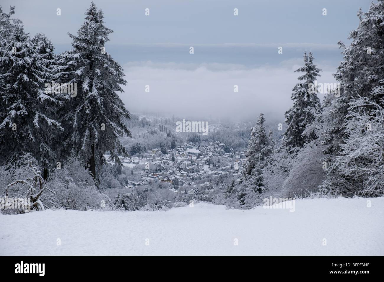 Villaggio innevato di Oberreifenberg visto dalle alture della foresta del Taunus, atmosfera invernale nebbiosa, ideale per concetti di viaggio e stagionali. Foto Stock