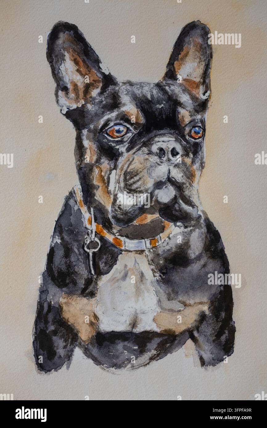 Dipinto ad acquerello di bulldog francesi Foto Stock