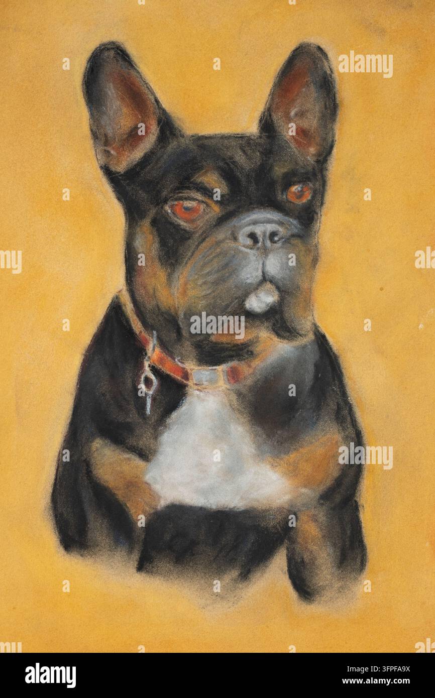 Dipinto pastello di bulldog francese Foto Stock
