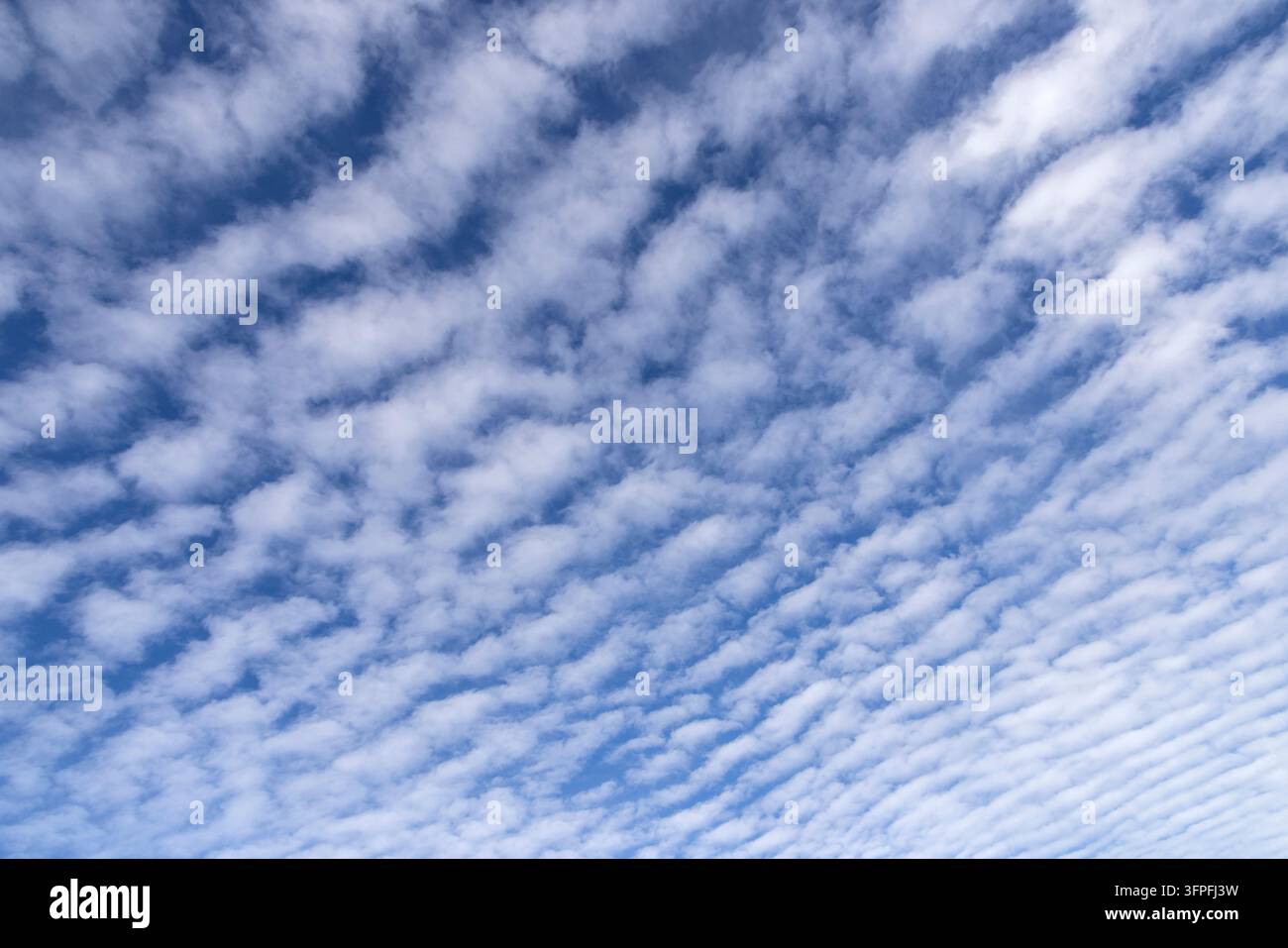 Ampie stratificazioni di nuvole stratocumulus si muovono ondulando nel cielo creando un drammatico senso di scala e uno sfondo naturale Foto Stock