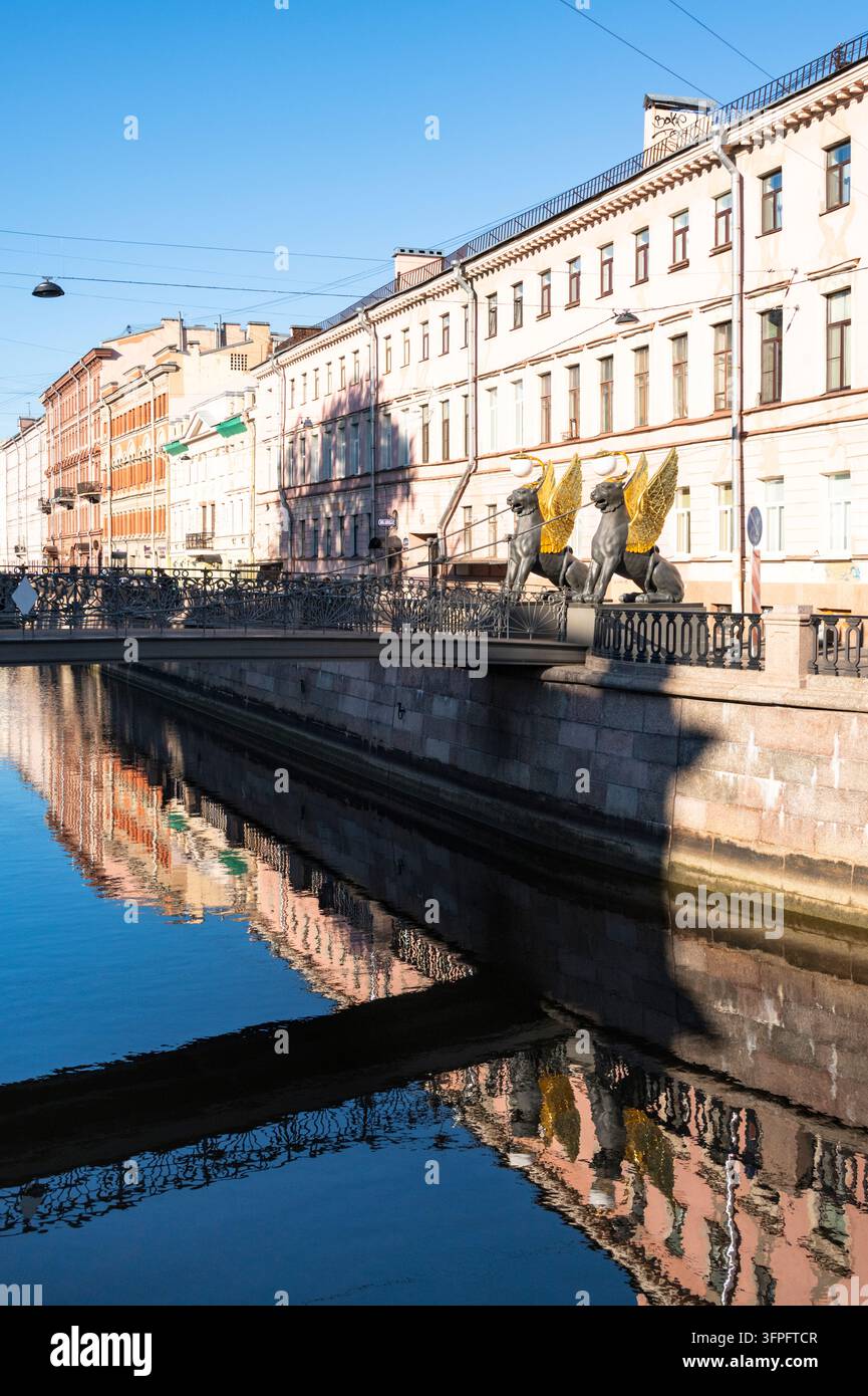 Grifoni dalle ali dorate del ponte pedonale Bankovskiy Most sul canale Griboyedov, San Pietroburgo, Russia Foto Stock
