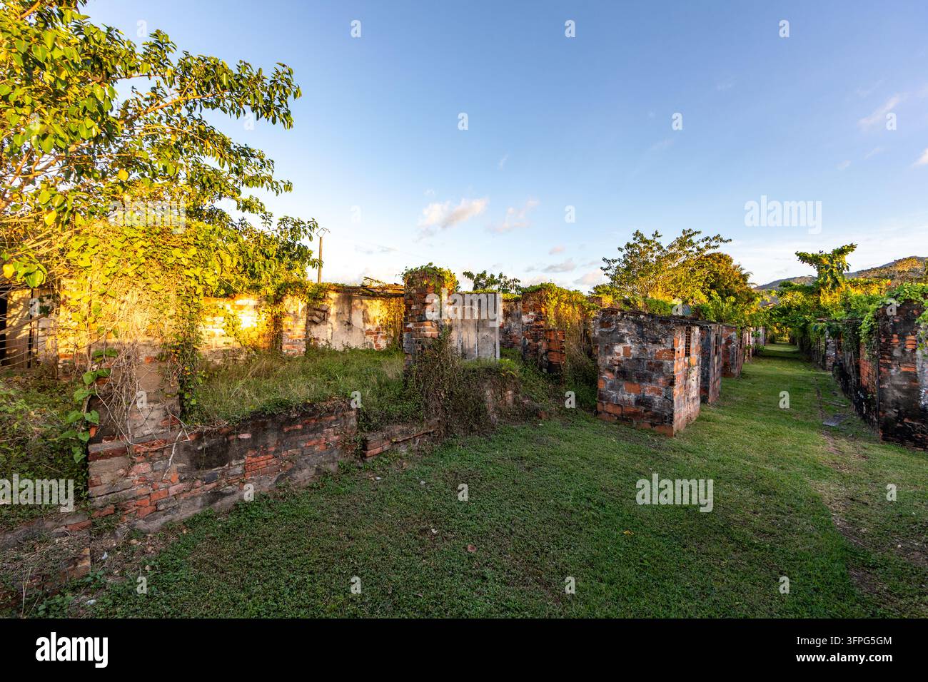 Una vista della vegetazione costiera e dei muri di pietra a Les Trois-Îlets, Martinique. Foto Stock