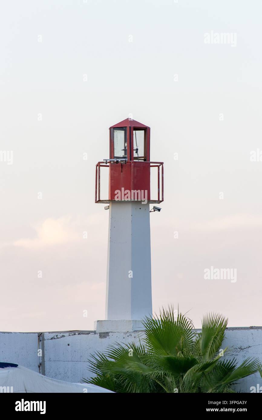 Piccolo faro costiero rosso e bianco che si erge sopra un muro di cemento con fogliame di palme su un cielo morbido Foto Stock