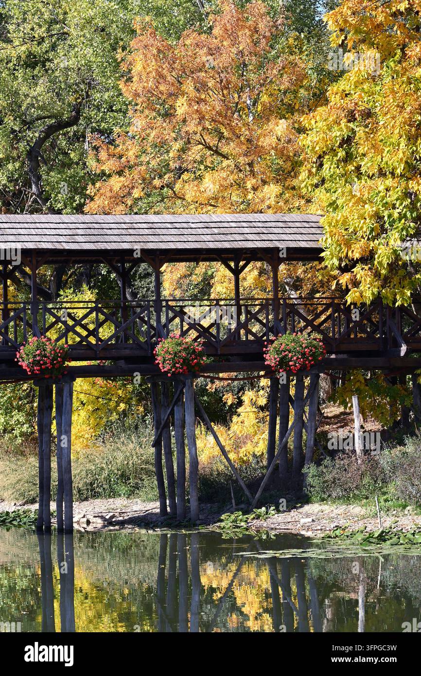 Ponte di legno coperto sopra il calmo piccolo fiume Danubio con alberi autunnali e cesti di fiori rossi riflessi nell'acqua, vicino a un mulino ad acqua galleggiante, Kolárovo Foto Stock