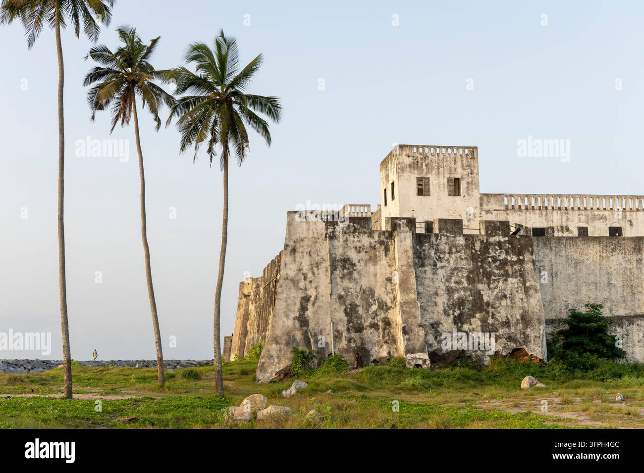 Le mura imbiancate a calce di un antico castello costiero si ergono accanto ad alte palme, Regione Centrale, Elmina, Ghana Foto Stock