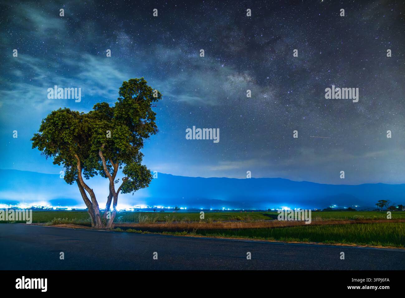 Cielo notturno stellato con la via lattea su un albero verde solitario, montagne lontane e campi rurali a Chishang, Taitung, Taiwan. Foto Stock