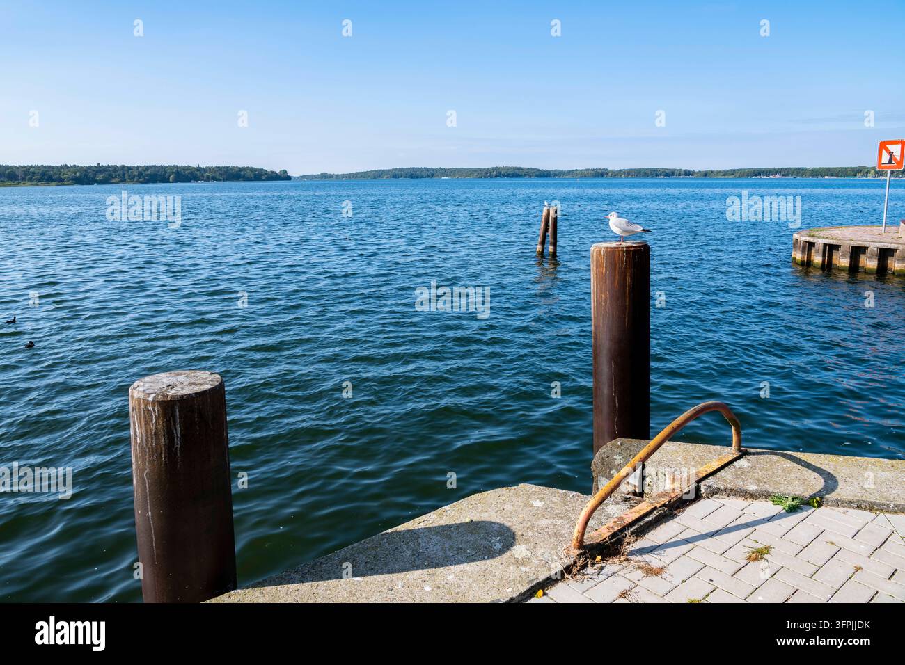 Vista del Müritz, Binnenmüritz, Kleines Meer, Waren, Müritz, Parco nazionale del Müritz, Meclemburgo-Pomerania Anteriore, Germania mcpins *** Vista del Mürit Foto Stock
