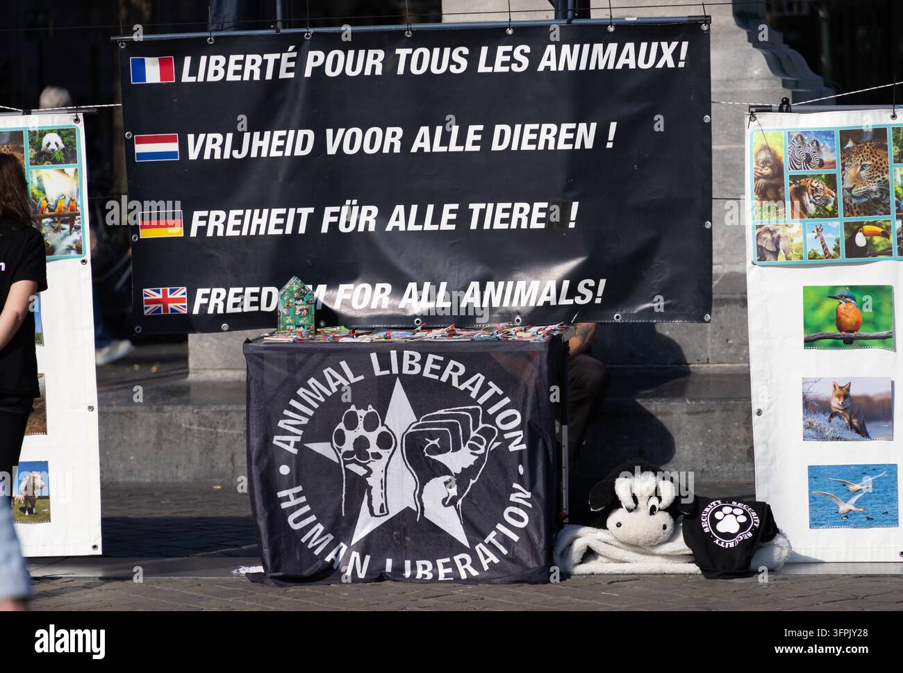 Maastricht, Limburgo, Paesi Bassi – 4 ottobre 2026: protesta per i diritti degli animali e di liberazione nel centro città vicino al municipio Foto Stock