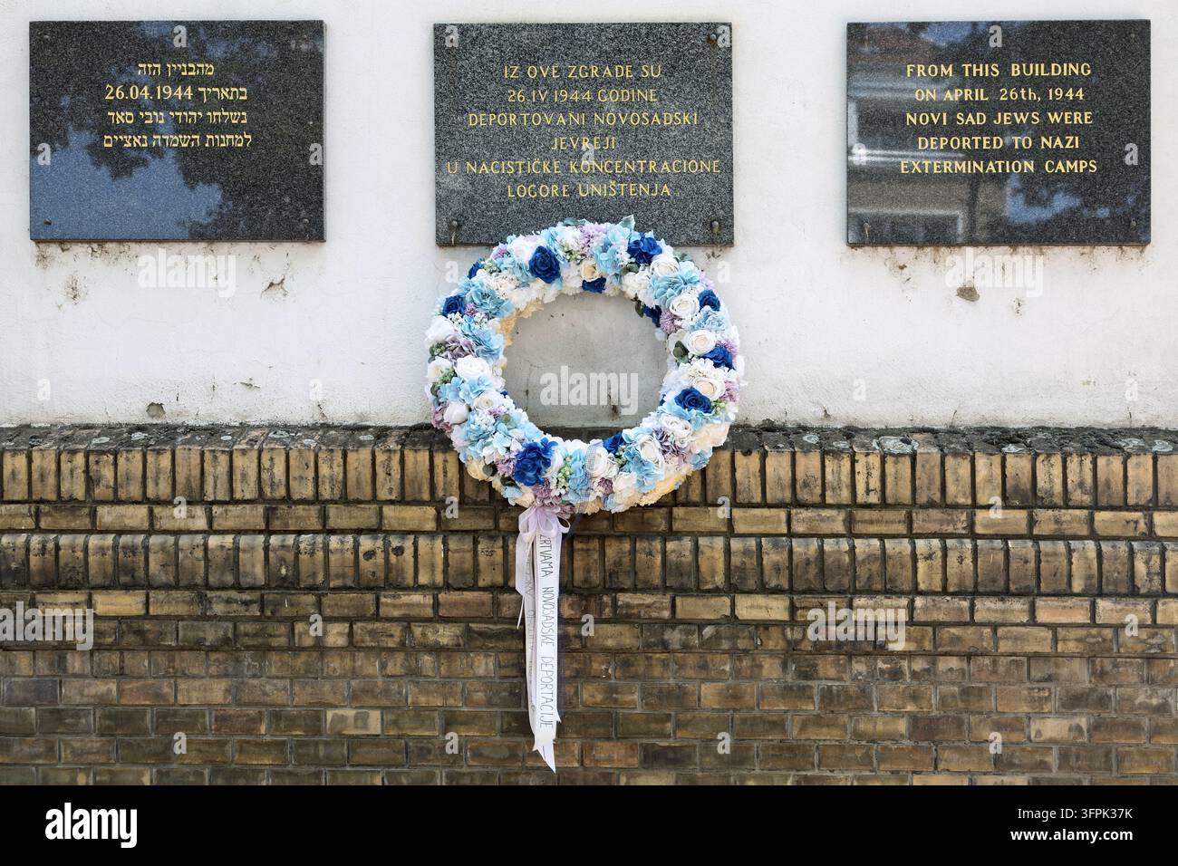Una ghirlanda floreale segna un memoriale per gli ebrei di Novi Sad deportati nei campi di sterminio nazisti il 26 aprile 1944, Sinagoga ora centro comunitario, Novi Sad, Serbia Foto Stock