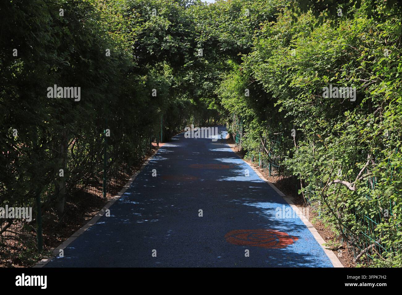 In un parco estivo, un sentiero fitness blu è circondato da fitti alberi verdi, con la luce del sole screziata che filtra attraverso le foglie. Segnalazioni arancioni sul p Foto Stock