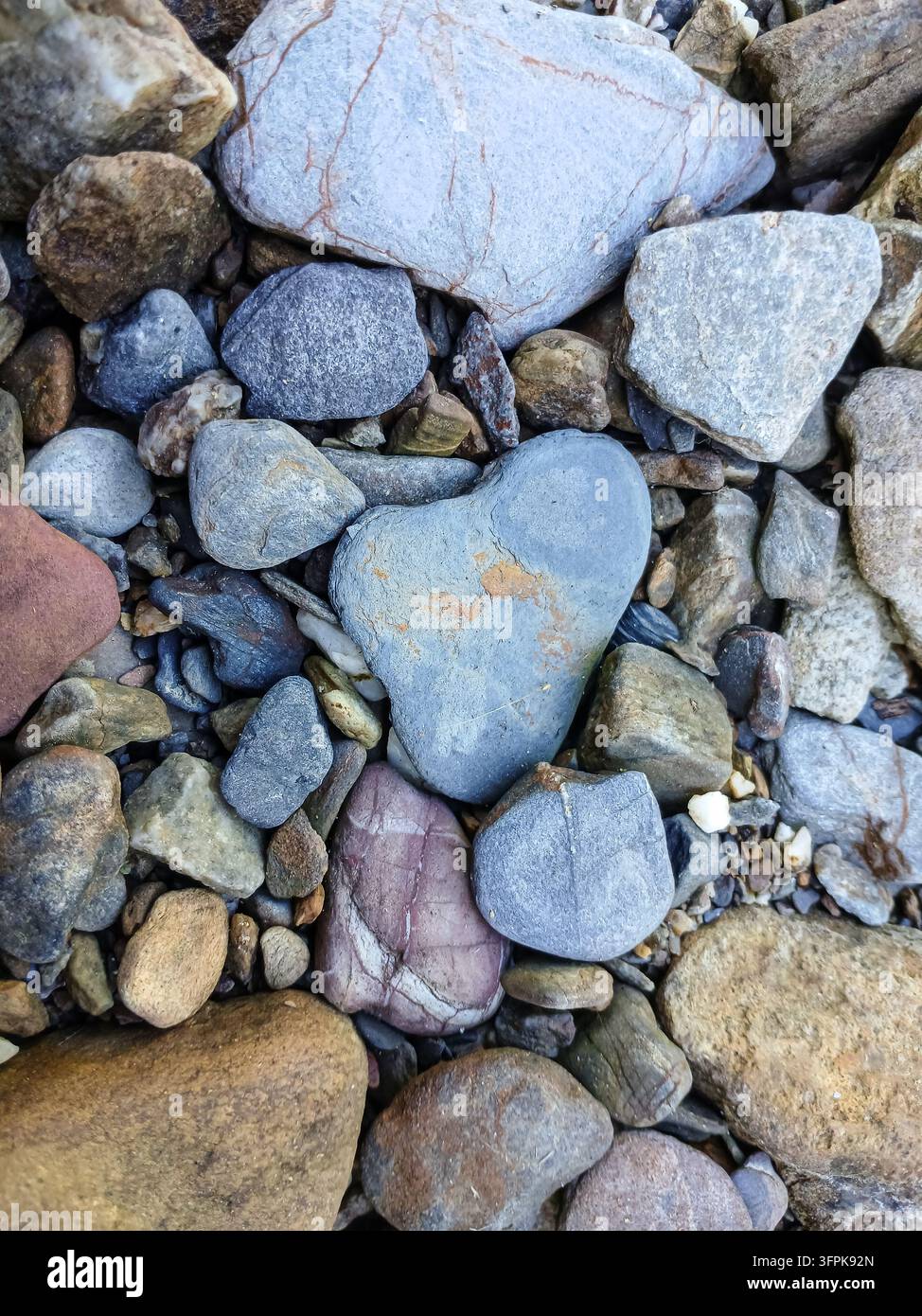 Pietra grigia naturale a forma di cuore tra ciottoli colorati del fiume, simbolo di amore e romanticismo nella natura - Immagine stock catturata con smartphone