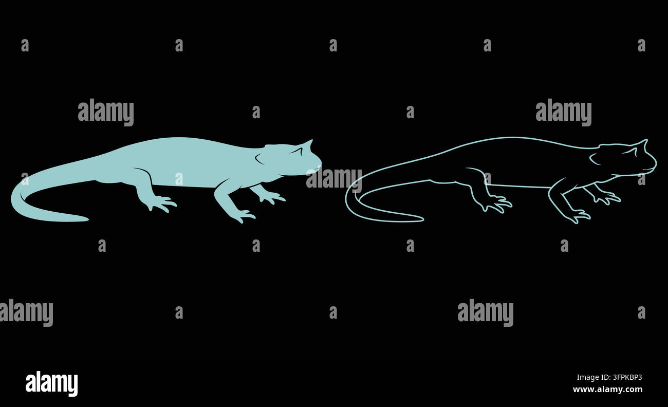 Silhouette e icone di salamandra con icona animale in stile line art nera Illustrazione Vettoriale